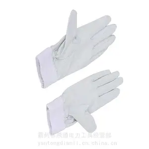 ��ɫ�������վ�Ԯ������ȼ����������׻��ⷴ����������