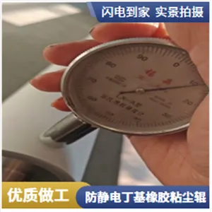 �Ϻ�����ճ�������뵼�巢չ��״δ������