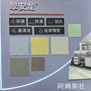 阿姆斯壮Armstrong翠安龙实验室制药厂抗重腐蚀地板