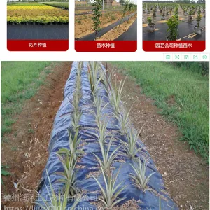 山东盖草布-定制苗圃地布果园除草布抑制杂草0.5-6米规格齐全