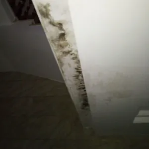 专业团队,房屋漏水维修经验丰富,惠州防水补漏公司