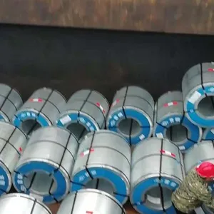���ղ�Ϳ���׸�***����п������ֱ����ǻԲ�˼��ҵ�徻�����������ά��