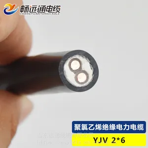 厂家生产供应 YJV阻燃电缆2芯6平方电缆 纯无氧铜线 两芯电力电缆