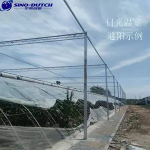 温室大棚遮阳的方法