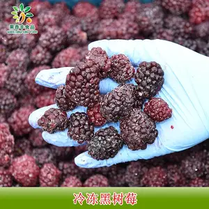 【果香丰】新鲜冷冻黑树莓10KG 速冻榨汁水果 奶茶水果果肉