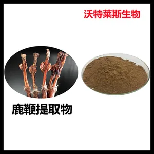 鹿鞭提取物10:1 鹿鞭低聚肽 鹿鞭粉 现货包邮 量大从优