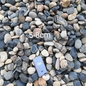 山东5-8公分变压器鹅卵石,垫层鹅卵石