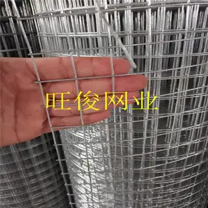 旺俊 建筑抹灰钢丝网 1米宽镀锌方孔网 镀锌抹墙网厂