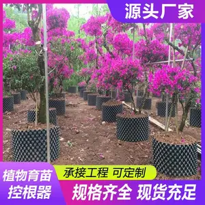 ԰��ֲ��ظ���˫������ˮ����ľ��ֲ�����ظ���Χ�����������ֲ