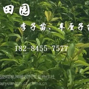 ��������磬2018����������������۶���Ǯ
