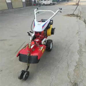 ����������������� �������ũ���ڹ��� 186������԰������