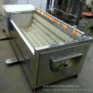 厂家直销全自动洗果机 海创牌桃子清洗机 多功能水果清洗机价格