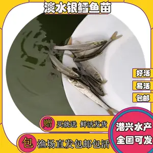 �������۸��ֹ���������� ��/��/��/������ ���˵�ˮ��������