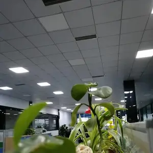 乌鲁木齐市君静盛世针纺织品有限公司