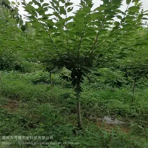 ����ӣ���� ����ӣ���� �̻��������ձ���ӣ ����ũҵ