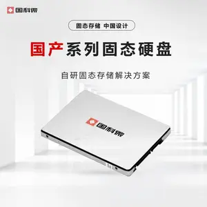 芯盛全国产化固态硬盘SG4ZT2T1S3127SD,2TB容量,三年质保