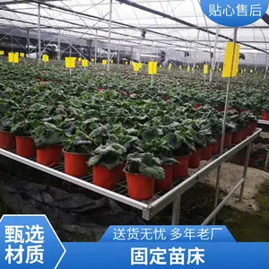 ���Ҵ���̶���ϫ�紲���绨�ܳ�ϫ����װ�װ����