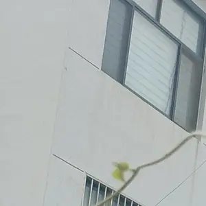 山东探源电子科技有限公司