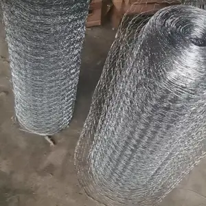 ������˿��ձ