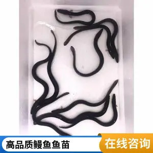 �۷�ˮ�� ���������� ��ˮ������ ������ǿˮ����ֳ�����泡ֱ��