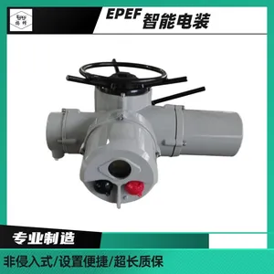 PROFIBUS执行器F-DZW90-DP/总线控制控制单元可换
