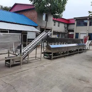 榛子开口机