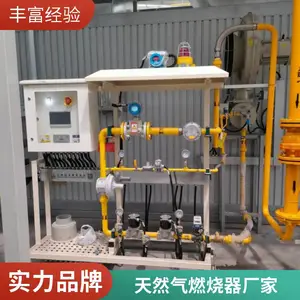 岱鼎燃烧水套炉废酸焚烧炉转炉煤气天然气烧嘴燃烧系统源头厂家