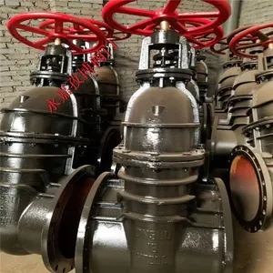 ũ������������ Z41T-10 DN65 �ֶ�ͭоHT200����բ�� Z41W-10 ����ֱ��