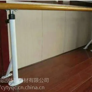 �赸���ƶ�ʽ/ǽ��ʽ/��ͯ�Ѹˡ���Զ������