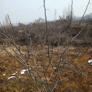 2�껨������ 1�������������