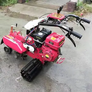 �������ǿ������۸� ��ֲ��ݮ������¢�� �๦�ܳ���������