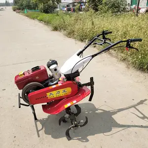 ���չ�԰���������������ʽ΢���� ������¢ʩ�ʲ��ֻ�