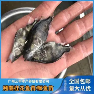��ֳ������Ʒ��***-�Ʒ������ ����������������
