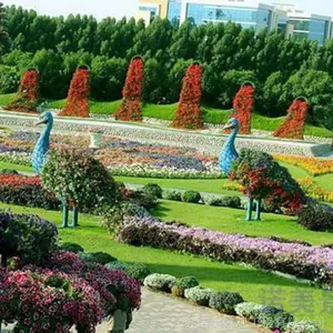 �ܳ��̵� �˶����� �����̵� ��ȸ�����̵�