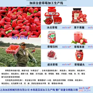 全套草莓深加工设备 速冻草莓 草莓果酱果汁 草莓罐头生产线设备
