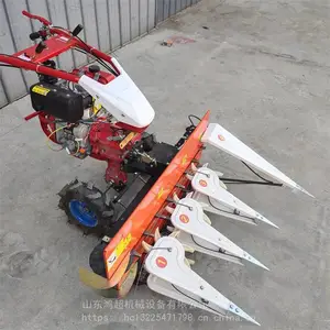 �������׽ոѸ�� �����ջ�Ѹ�����ո�� ��¢��ժ���