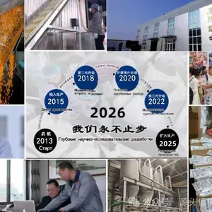 源头侦探仿瓷沙 环保***SGS认证 可水洗不掉色 儿童游乐沙池专用