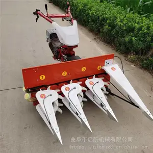 ������е����ʽ�����ո��- ˮ���¿��ɹ��_ ����ҩ���ո���ͺ�
