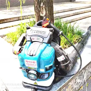 ����ʽС��·�洵��� ԰����Ҷ��������� ��Яʽ�ֵ�������