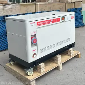 ����˹24KW������Ȼ��������� ��������Ȼ������� ���ȱ��ȼ�������