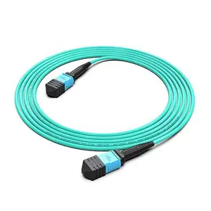ʤΪ12о om4����MPO-MPO�������� 30��