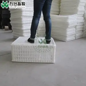 ��Ӧ������������������