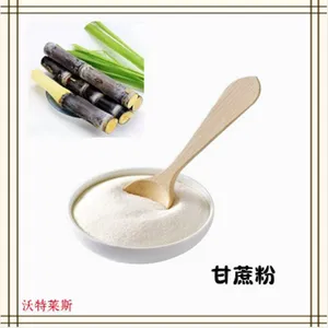 甘蔗果粉 120目细度 沃特莱斯生物 甘蔗酵素粉
