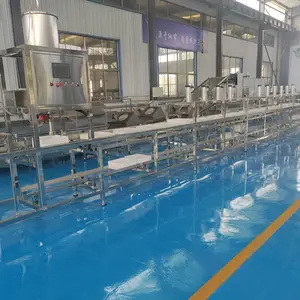 全自动大型豆腐生产线 传送式气压压榨自动上脑豆制品