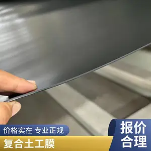 江苏厂家生产河道防渗土工膜 防渗膜 鱼塘河道水库通用