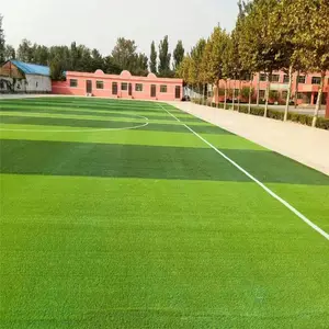 ����ٲ�ƺ ��ƺΧ�� ��ƺ����ǽ