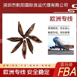 ���ٶ����˺���������������˹ר��˫���˰ ��������˵���������
