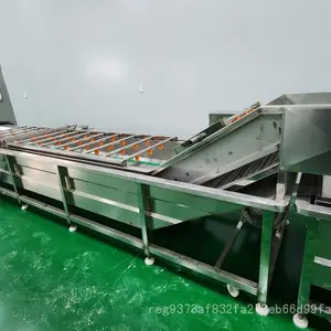 ��ҩ�ġ����ߵ�ר�ö�����ϴ��
