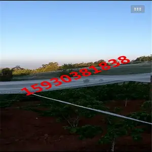 果树防鸟网@仁和果树防鸟网@果树防鸟网专业生产厂家