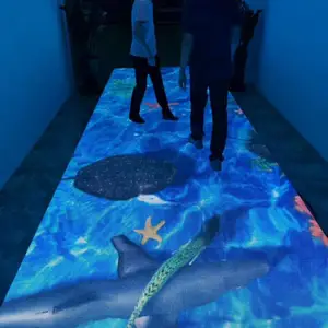 菏泽人屏互动地面踩踏 步步生花 3D动态感应水鱼海浪效果生产厂家—华信通